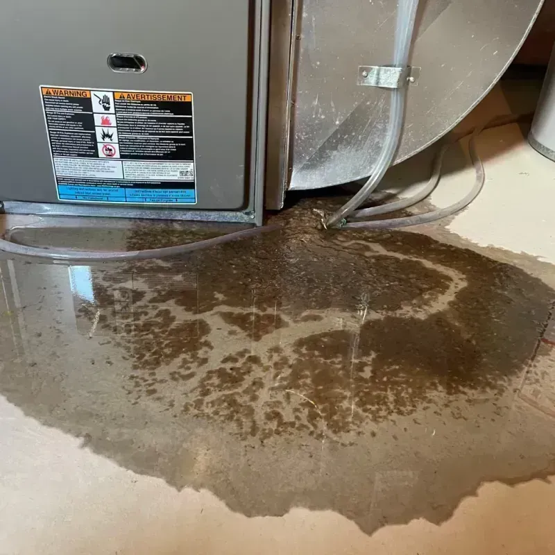 Appliance Leak Cleanup in Pulaski County, MO